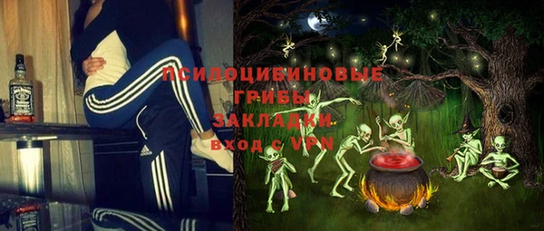крисы Алзамай