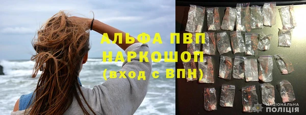 крисы Алзамай