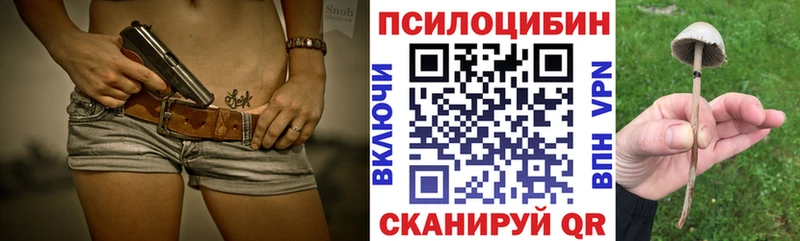 где купить наркоту Николаевск-на-Амуре Галлюциногенные грибы MAGIC MUSHROOMS